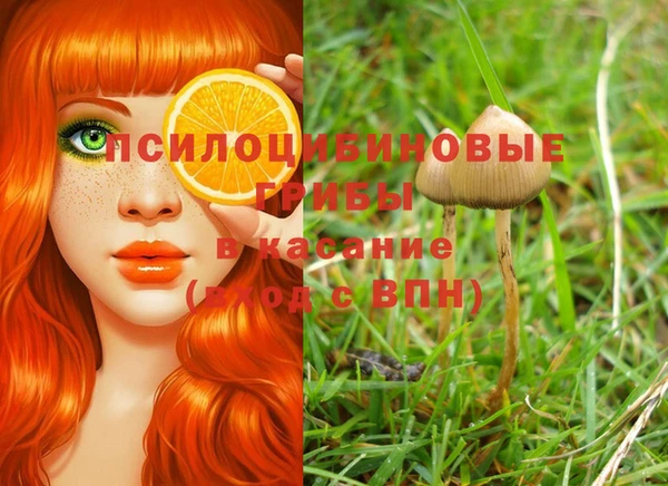 мяу мяу мука Магас
