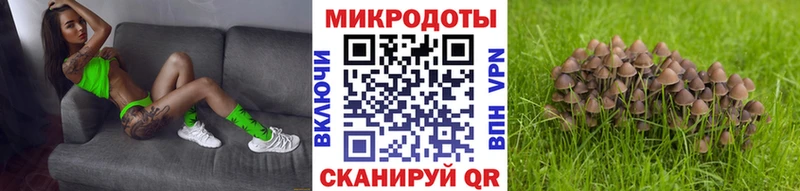 Галлюциногенные грибы Magic Shrooms  Купить где  Ялта 