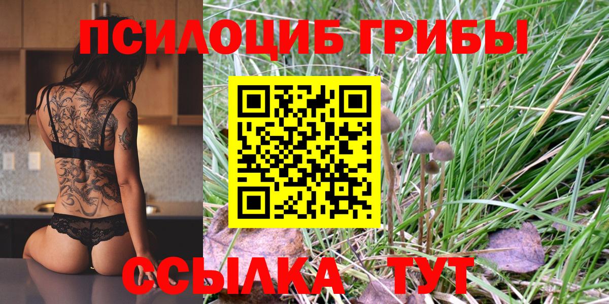 Псилоцибиновые грибы Cubensis Ялта